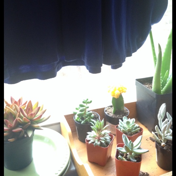 SOLD - Picture 2 of 4