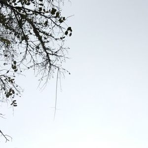 Meet your Posher, Alaycia