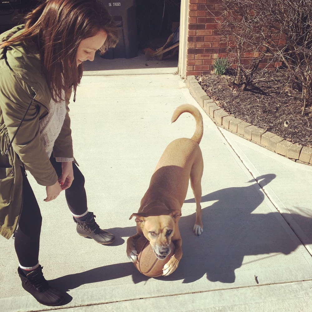 Meet your Posher, Meredith