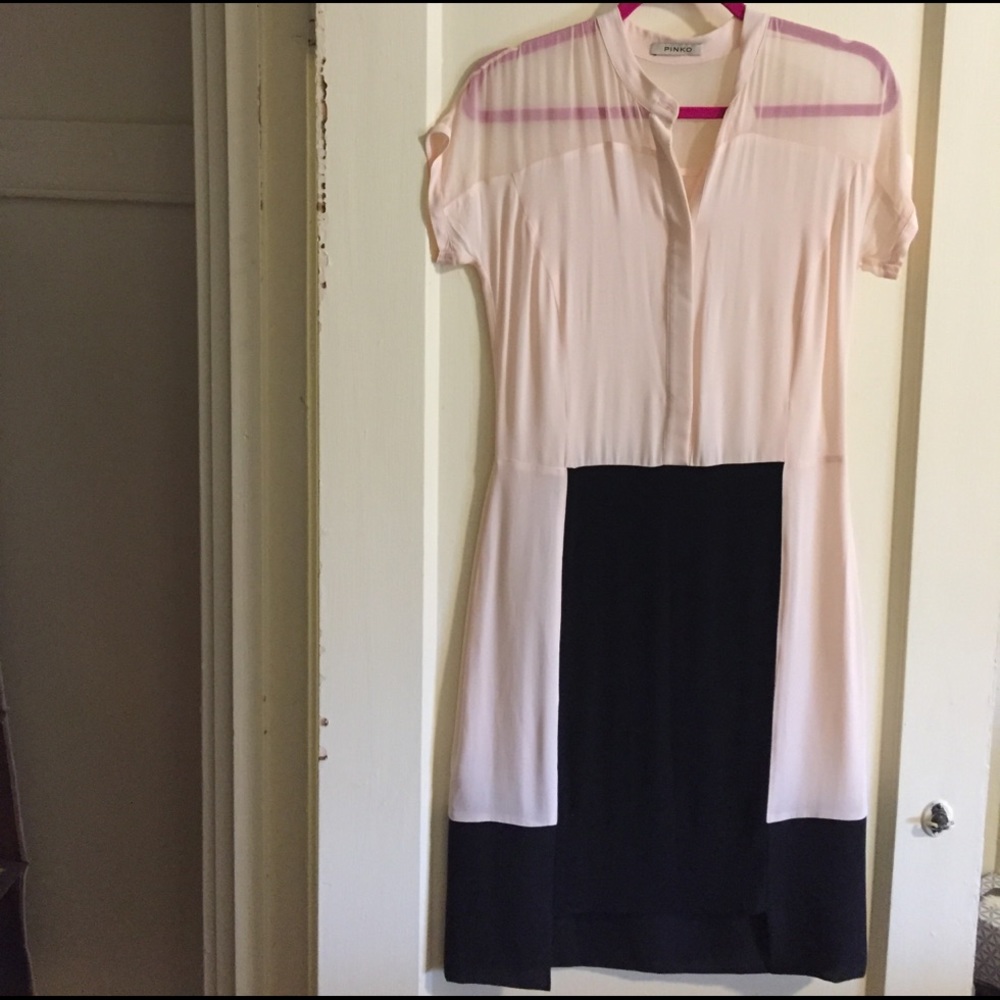 Pinko Dress