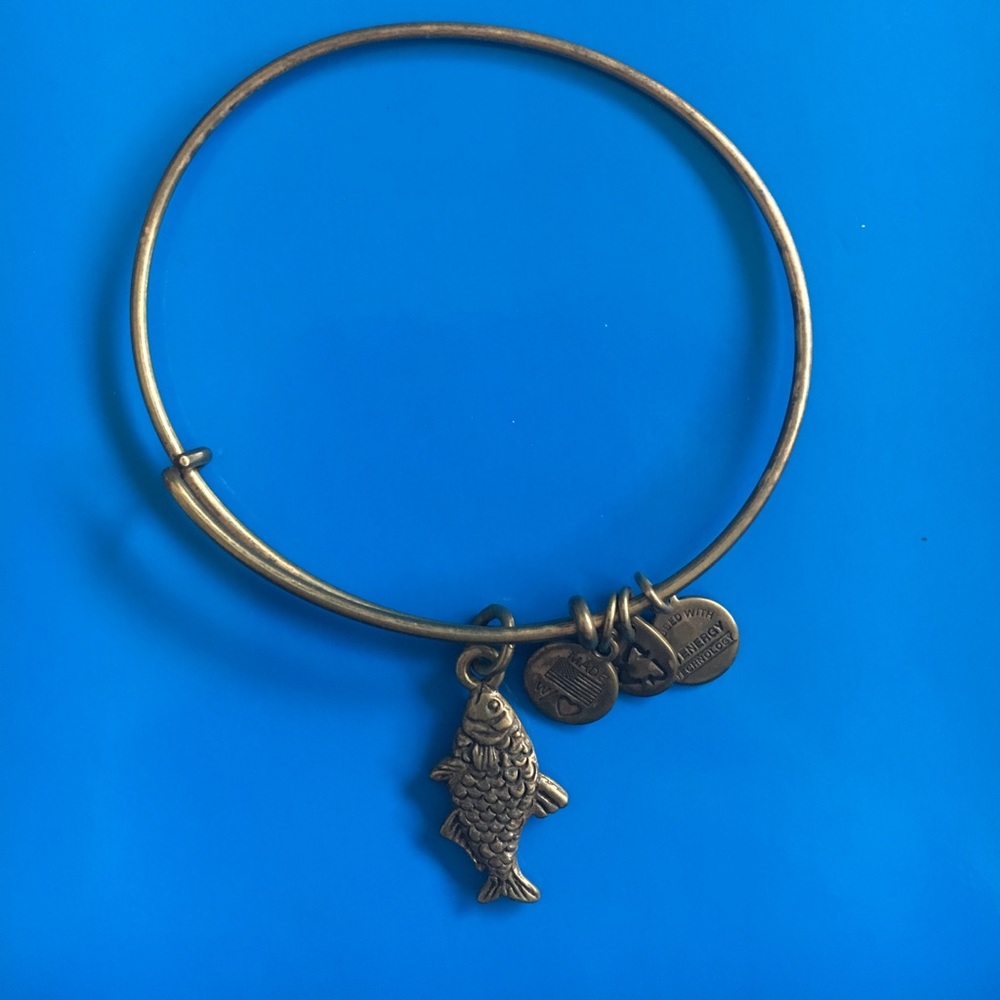 Fish (friendship) Alex and Ani bracelet