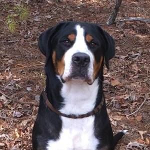 Meet your Posher, Kristin