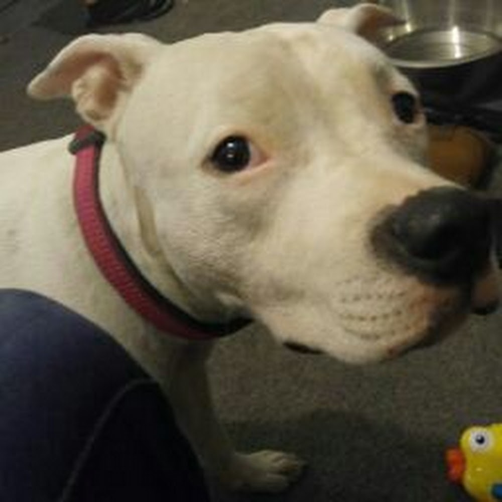 Meet your Posher, Gina