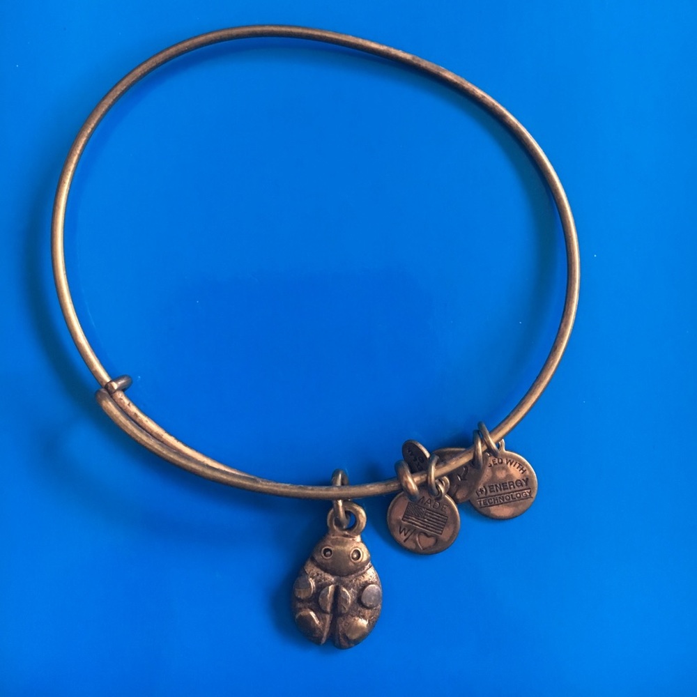 Ladybug Alex and Ani