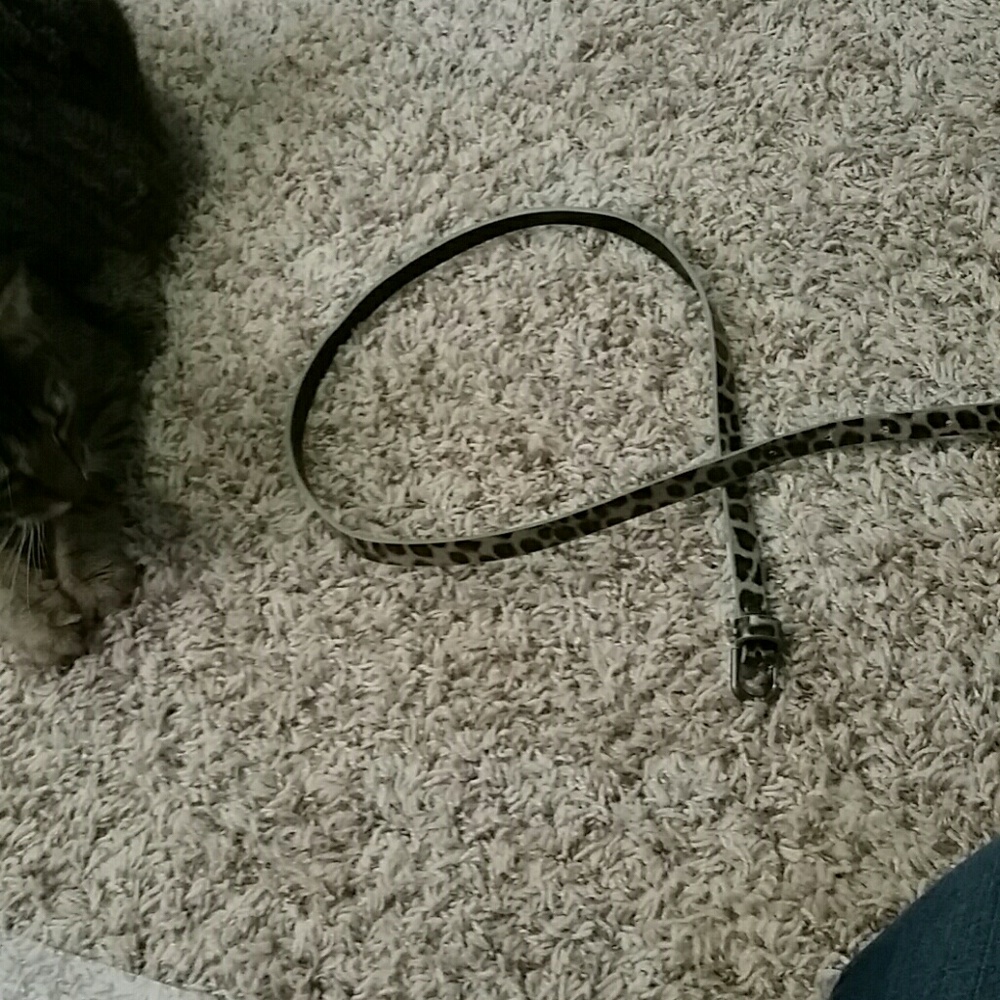 Thin leopard print belt (cat not included)