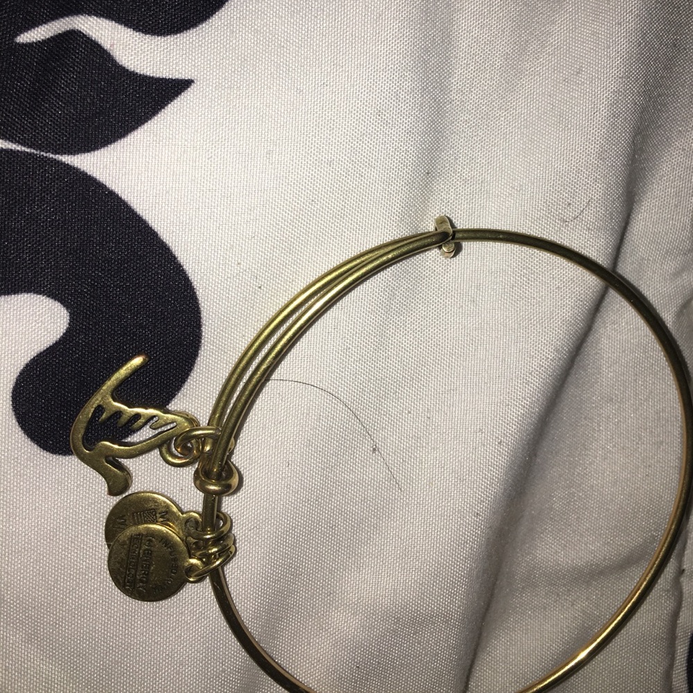 Gold Alex and Ani with dove charm