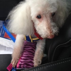 Meet your Posher, Kathy