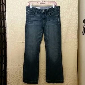 GAP 1969 "Long & Lean" Jeans Size 29/8a