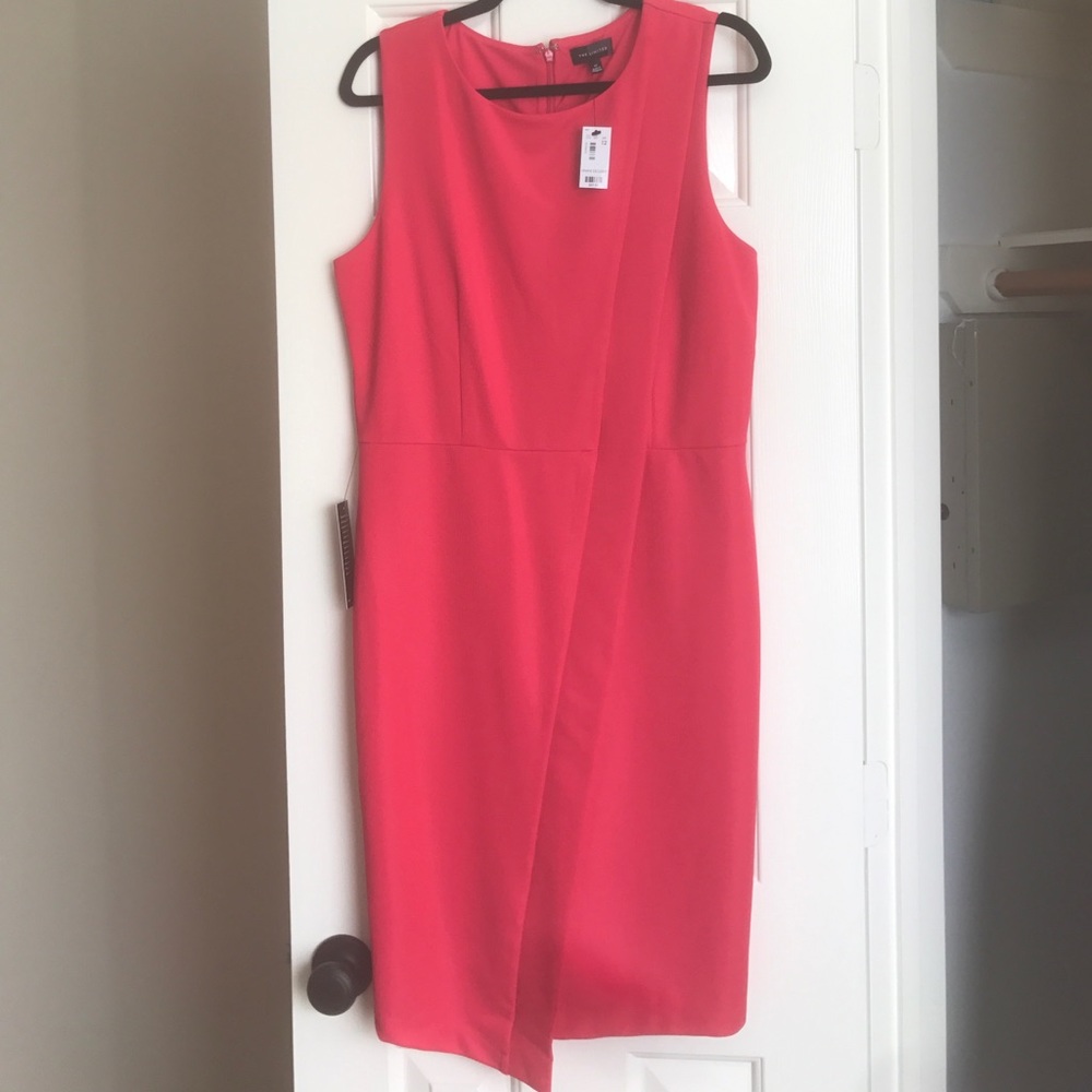 Coral/Pink Wear to Work Dress