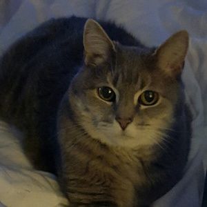 Meet your Posher, Sherry