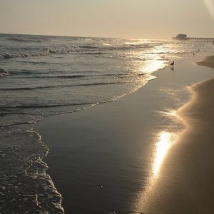 Meet your Posher, Eileen