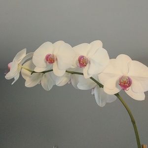 Meet your Posher, Karina