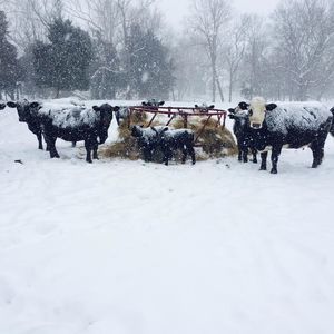 Meet your Posher, Justin