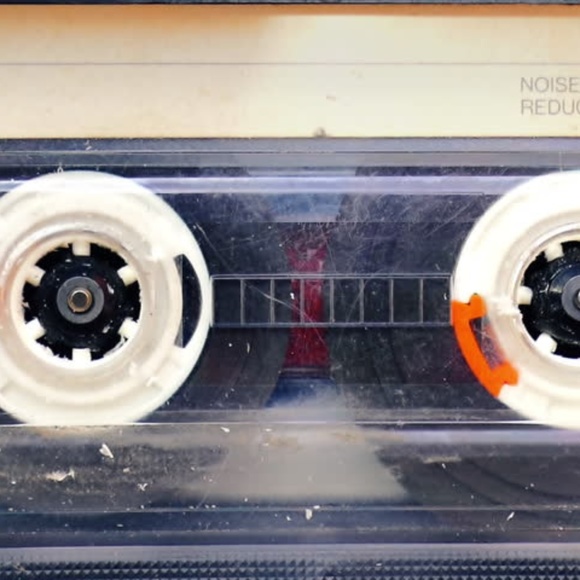 Meet your Posher, Jasmine - Picture 3 of 5