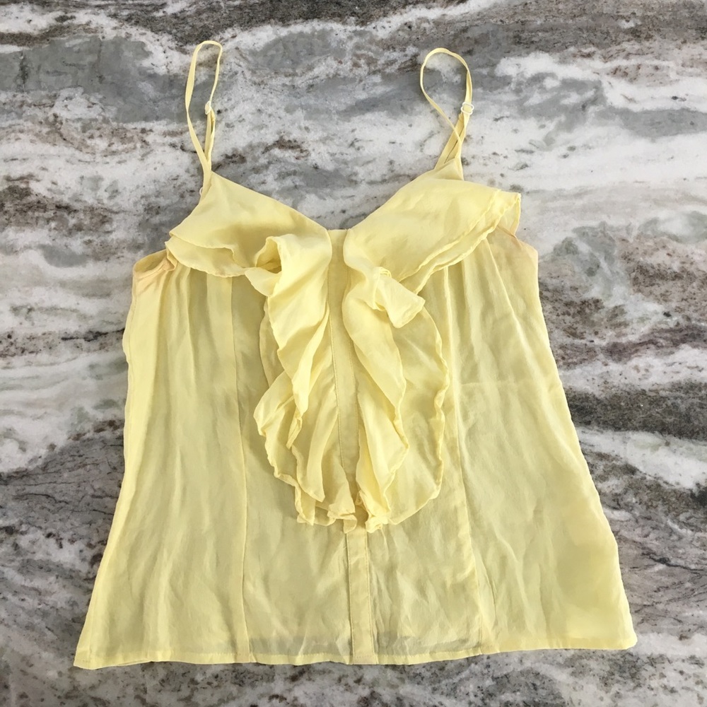 Silence + Noise 100% Silk Crop Top