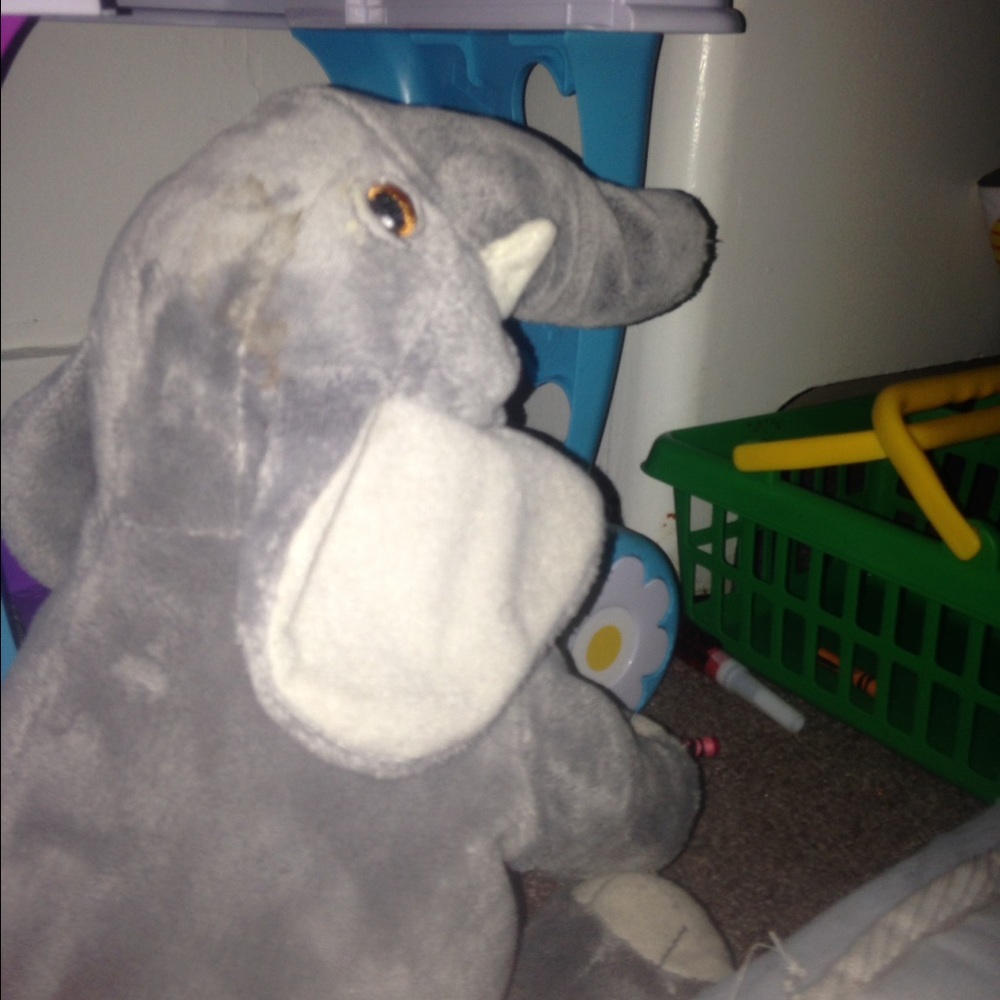 Meet your Posher, Shelbey