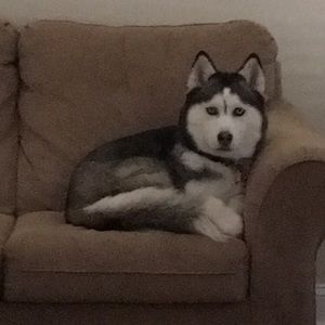 Meet your Posher, Jenn