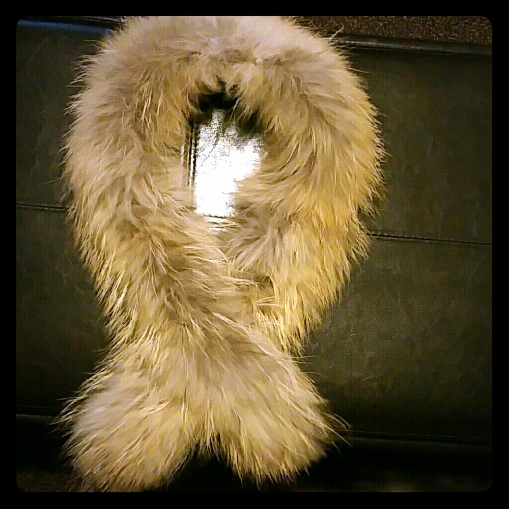 Authentic Raccoon Fur Collar