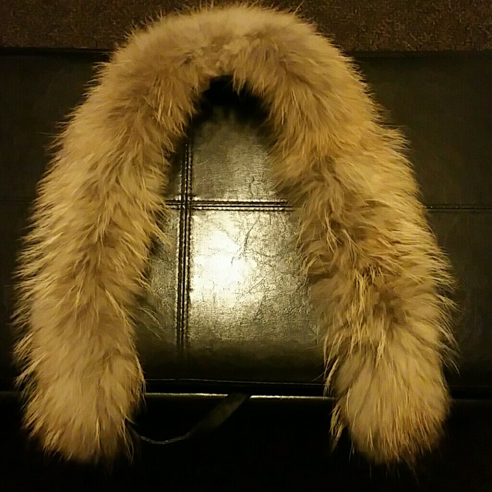 Authentic Raccoon Fur Collar - Picture 2 of 4