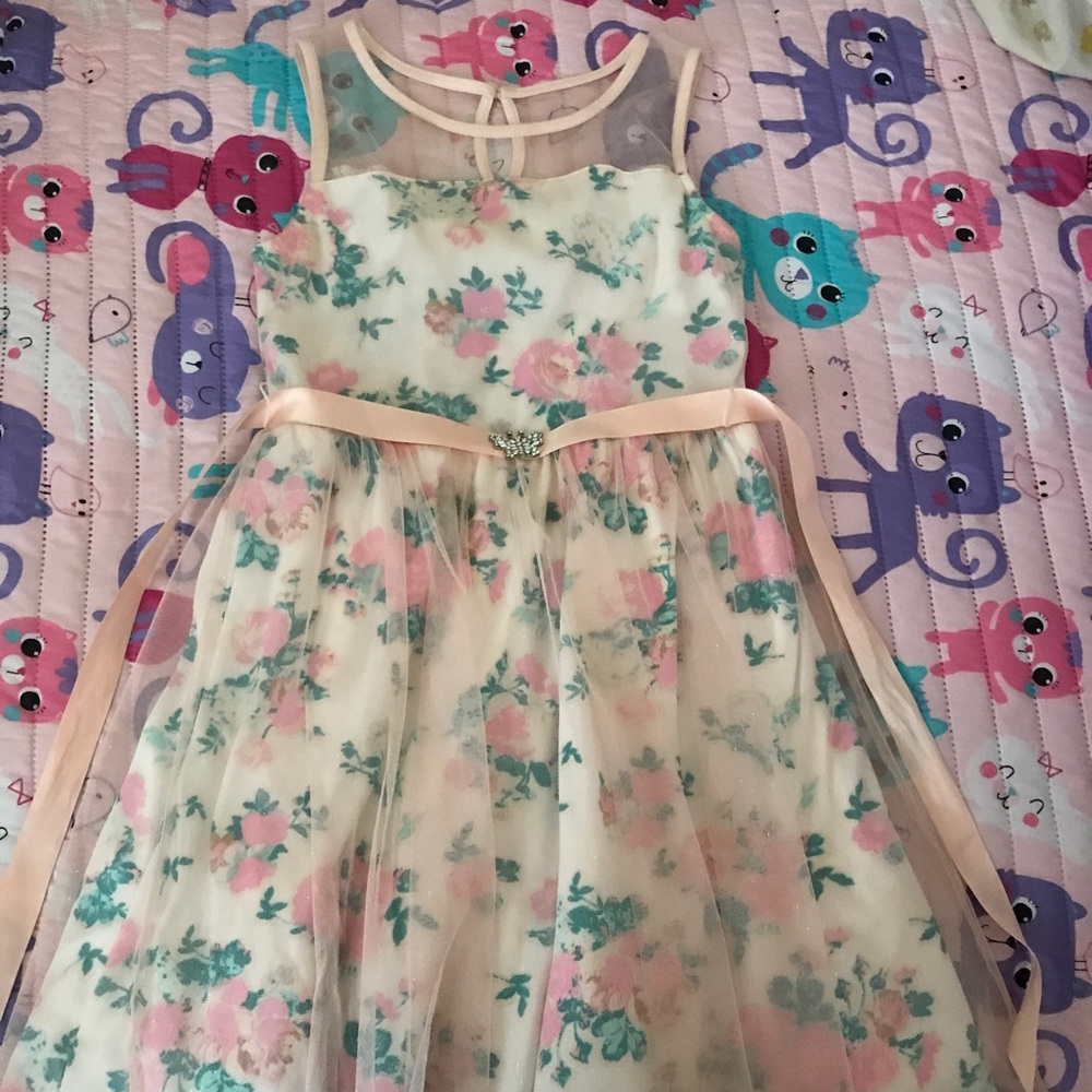 Disney's Cinderella Dress