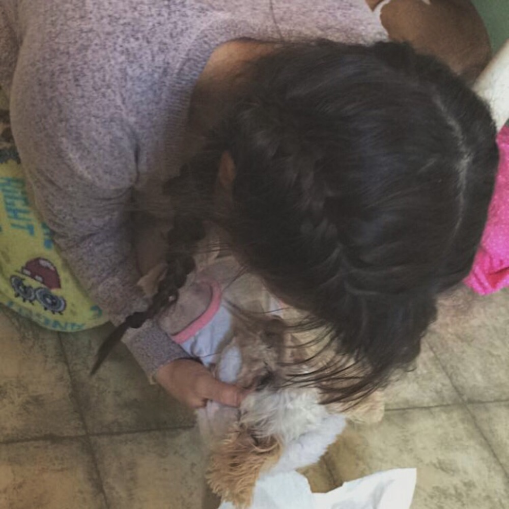 Meet your Posher, Emma