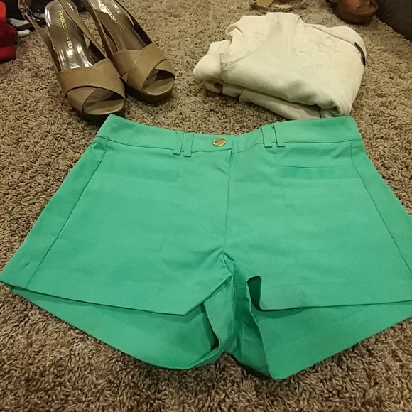 { H&M } Polyester Shimmer Shorts - Picture 2 of 8