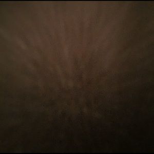 Meet your Posher, Nellie