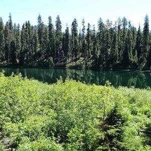 Meet your Posher, Heidi