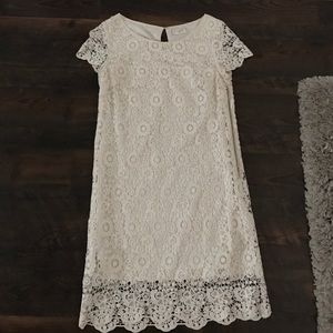 Lace sheath dress