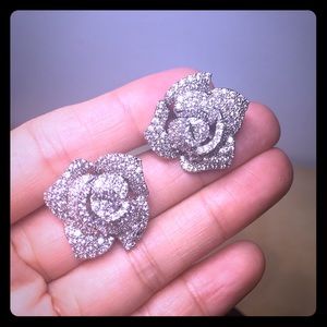 Sparkling earrings