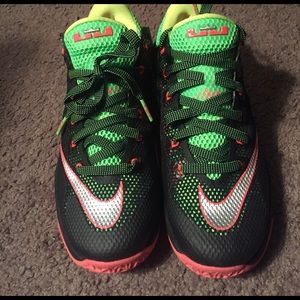 Lebron James basket ball shoes