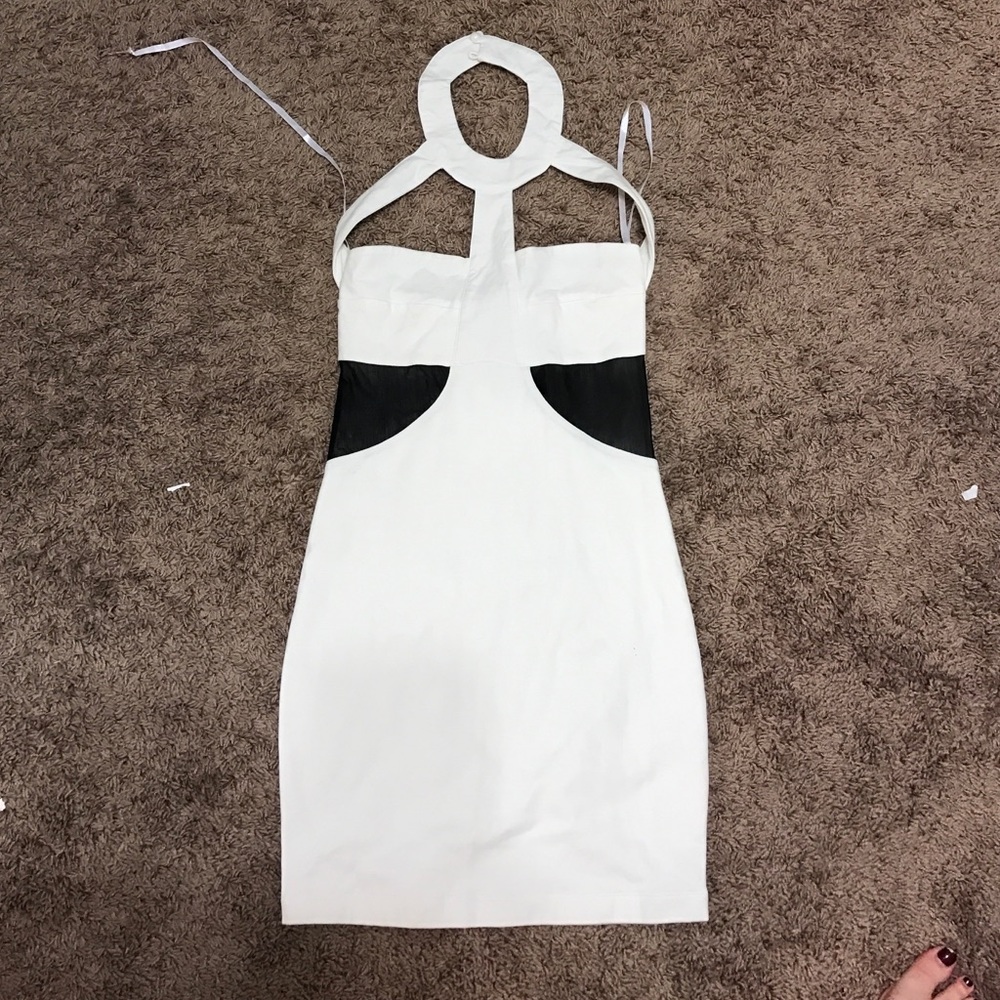 Dani Skirt Bodycon Dress