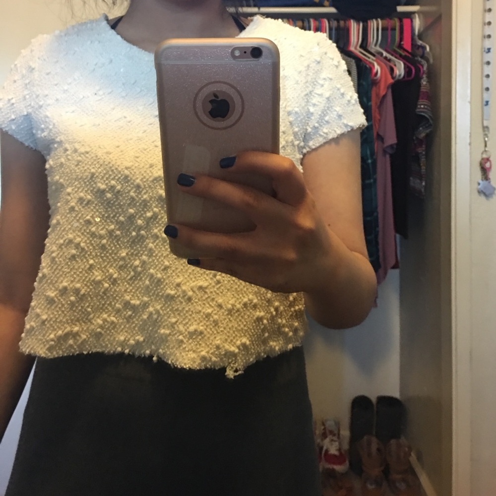 Dressy Crop Top
