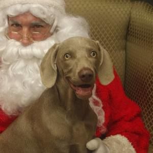 Meet your Posher, Pamela