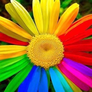 Meet your Posher, Mariela