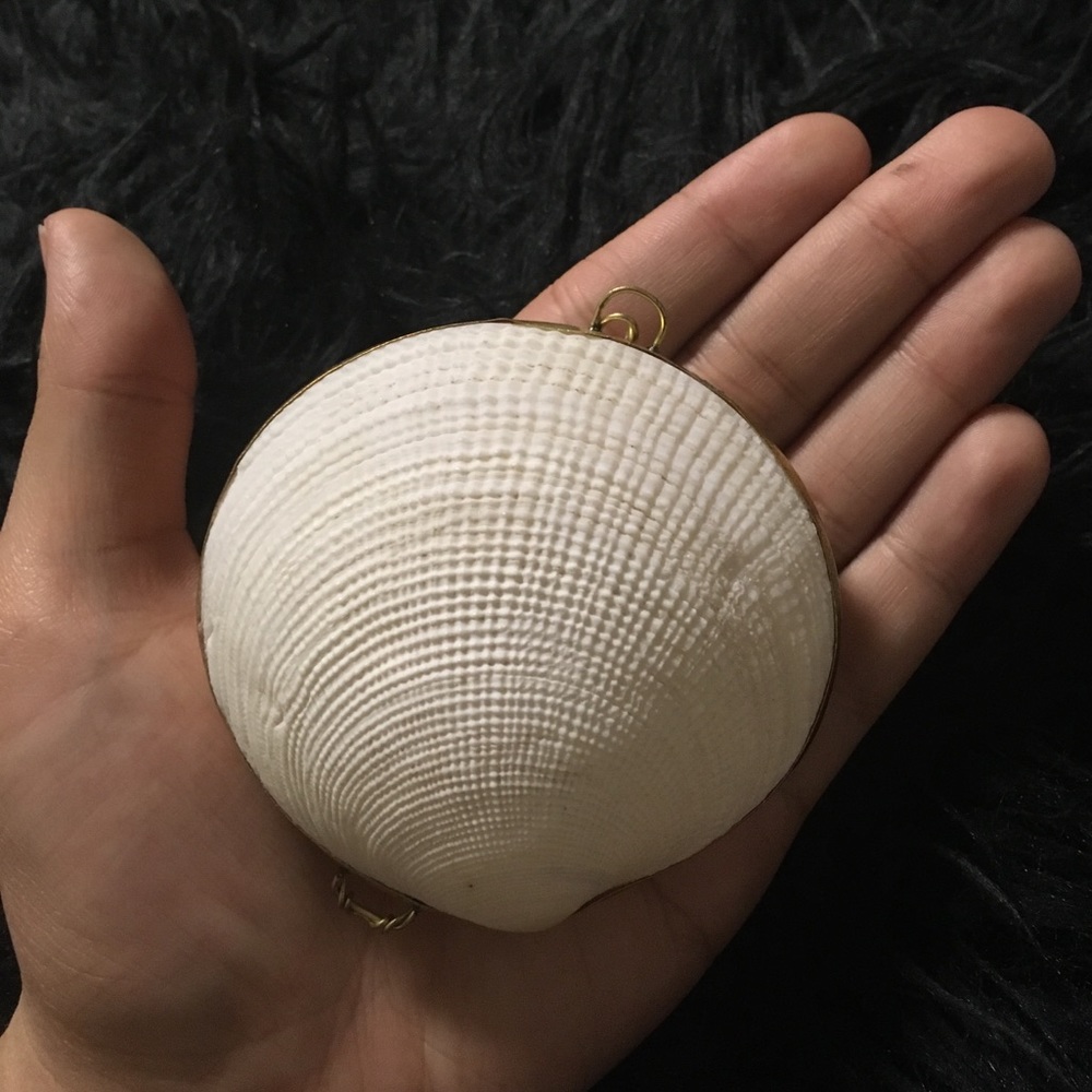 UO Real Shell Coin/Pill Case - Picture 3 of 3