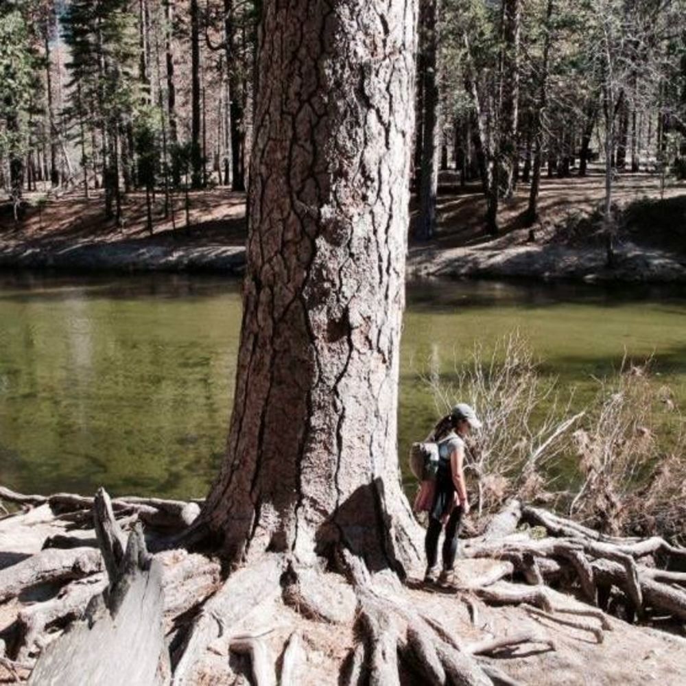 Meet your Posher, Isabella