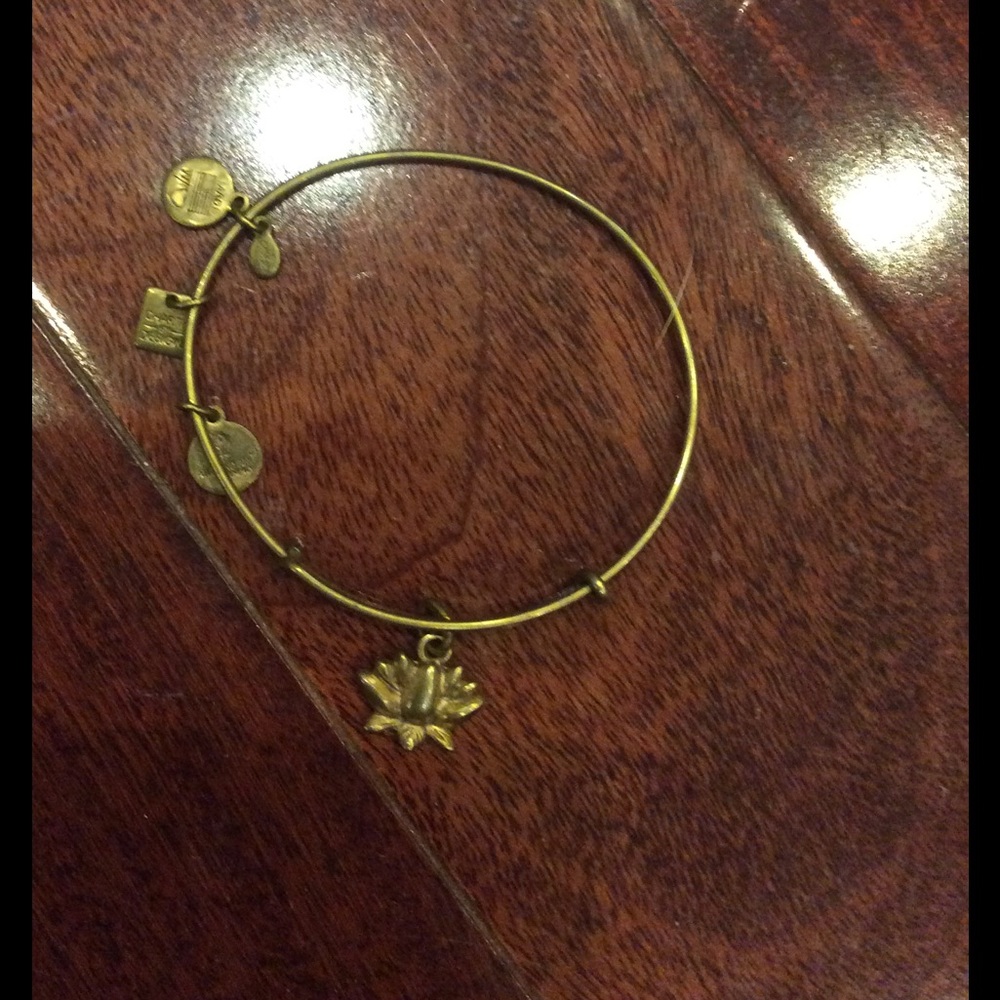 Alex and ani lotus
