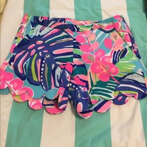 Exotic Garden Magnolia shorts