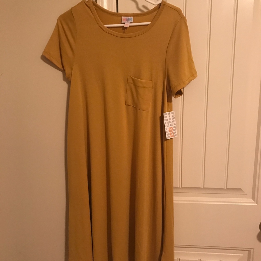 Lularoe BNWT XS Carly