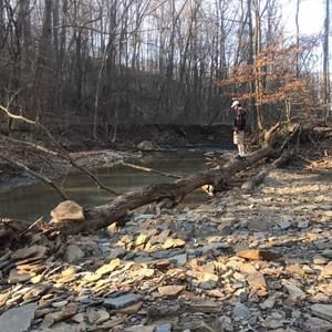 Meet your Posher, Logan