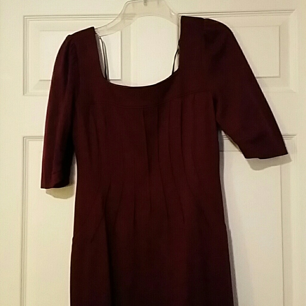 Plum Rayon/Nylon Dress with accent pleats