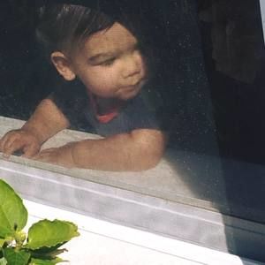 Meet your Posher, Fawn