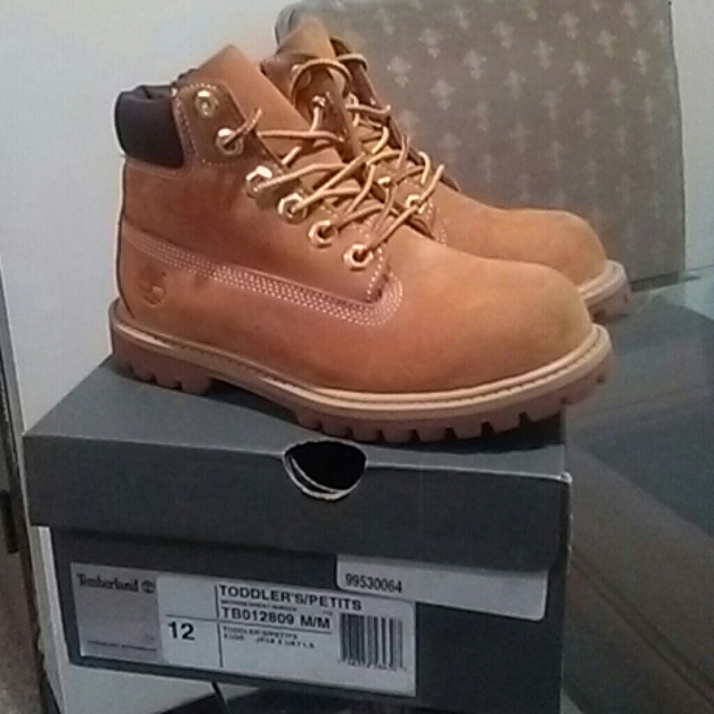 Timberlands Premium 6 inch Boots