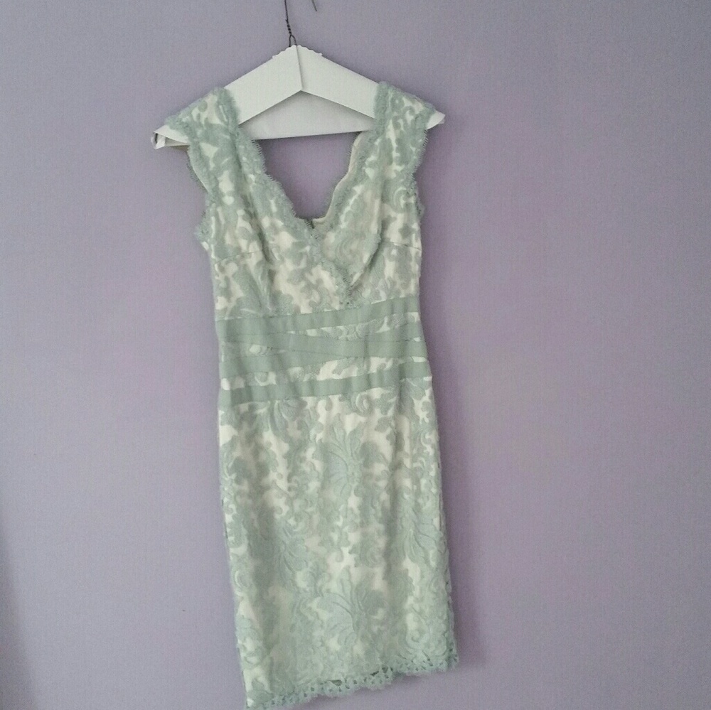 Tadashi Shoji Embroidered Lace Sheath Dress
