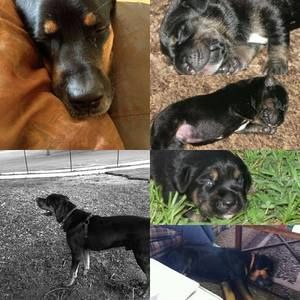 Meet your Posher, Brandi