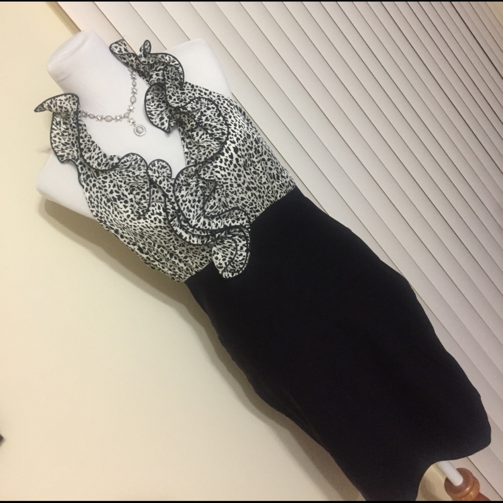 Evening / Special Occasion Dress