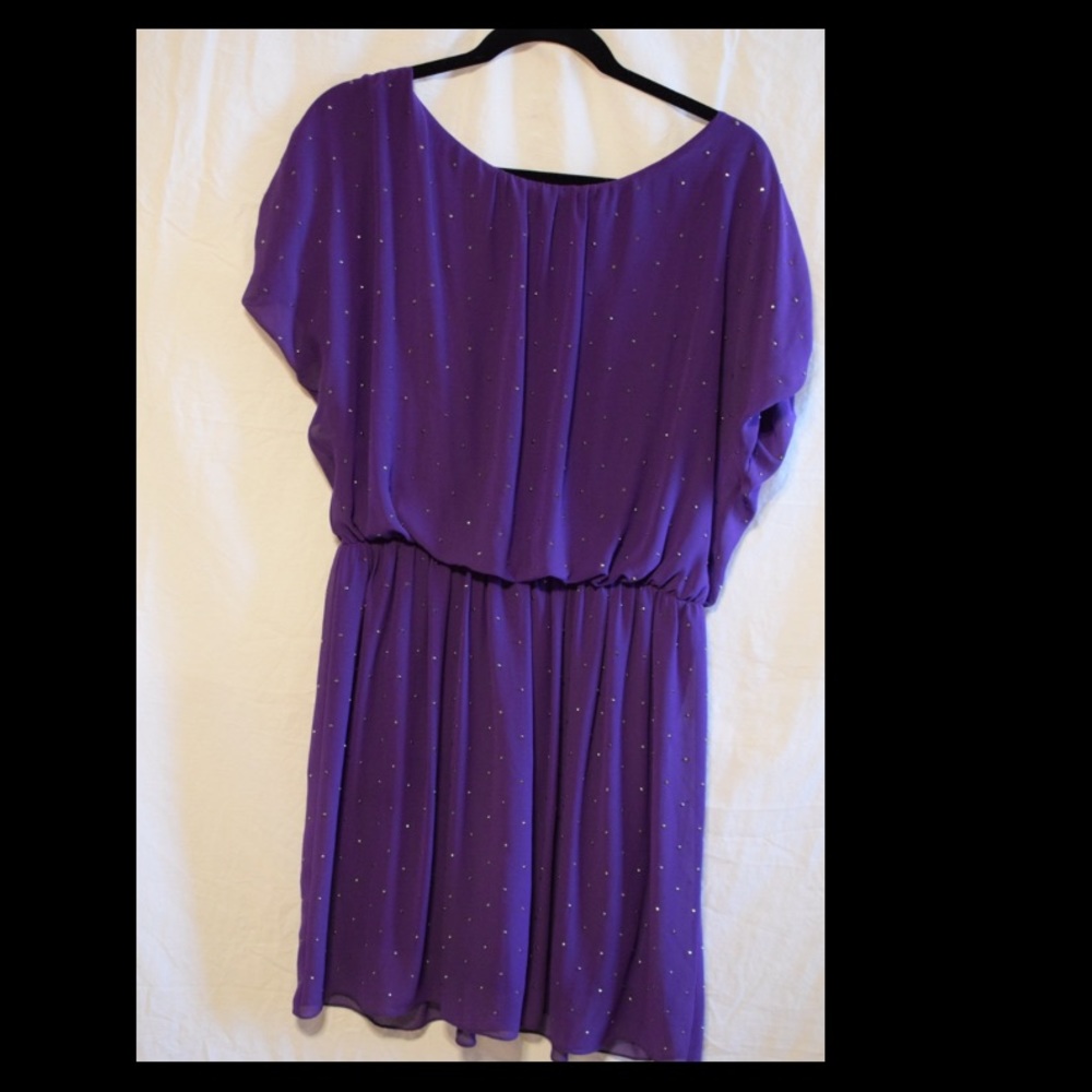 Purple dress with gold studs