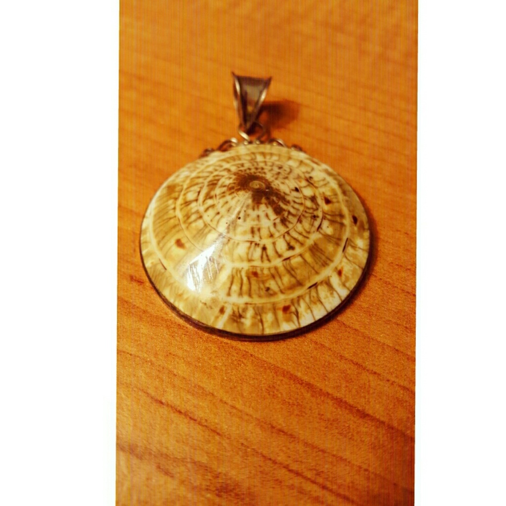 Rare Indonesian shell pendant in sterling silver