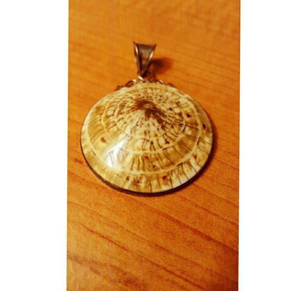 Rare Indonesian shell pendant in sterling silver - Picture 1 of 2